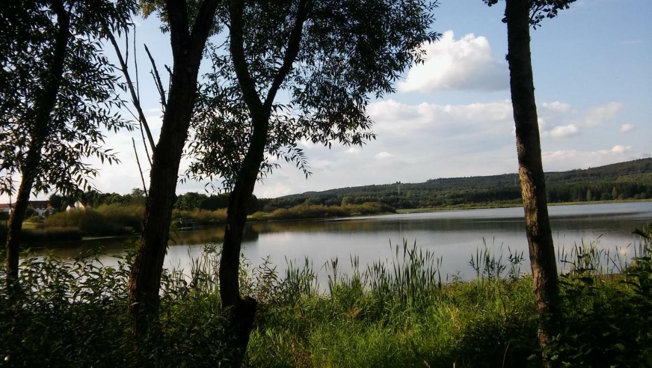 Ferienwohnung In Der Vulkaneifel Ulmen Εξωτερικό φωτογραφία