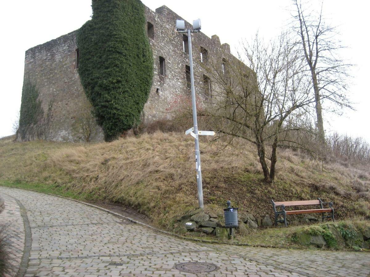 Ferienwohnung In Der Vulkaneifel Ulmen Εξωτερικό φωτογραφία
