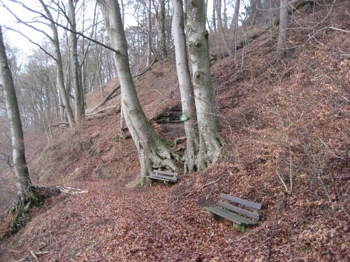 Ferienwohnung In Der Vulkaneifel Ulmen Εξωτερικό φωτογραφία